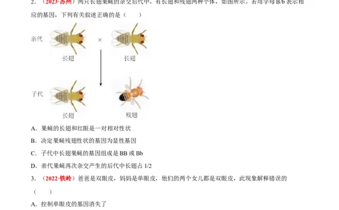 专题13&nbsp;生物的遗传和变异（原卷版）_6生物中考复习_2024年中考复习资料_专项复习资料_完三年（2021-2023）中考生物真题分项汇编（全国通用）