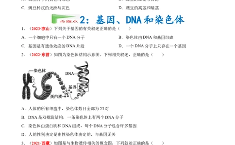 专题13&nbsp;生物的遗传和变异（原卷版）_6生物中考复习_2024年中考复习资料_专项复习资料_完三年（2021-2023）中考生物真题分项汇编（全国通用）