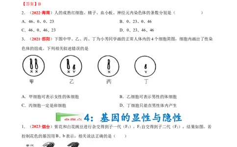 专题13&nbsp;生物的遗传和变异（原卷版）_6生物中考复习_2024年中考复习资料_专项复习资料_完三年（2021-2023）中考生物真题分项汇编（全国通用）