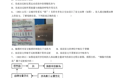 专题14人体生命活动的调节（原卷版）_6生物中考复习_2023年中考复习资料_一轮复习_2023年中考生物一轮复习讲练测_专题14人体生命活动的调节（专题精练）-2023年中考生物一轮复习讲练测