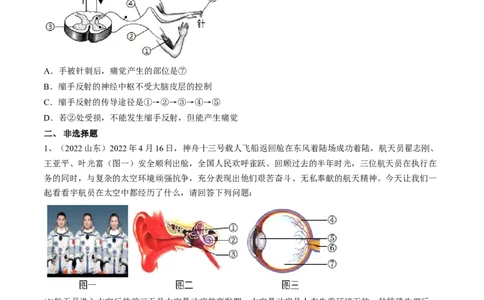 专题14人体生命活动的调节（原卷版）_6生物中考复习_2023年中考复习资料_一轮复习_2023年中考生物一轮复习讲练测_专题14人体生命活动的调节（专题精练）-2023年中考生物一轮复习讲练测