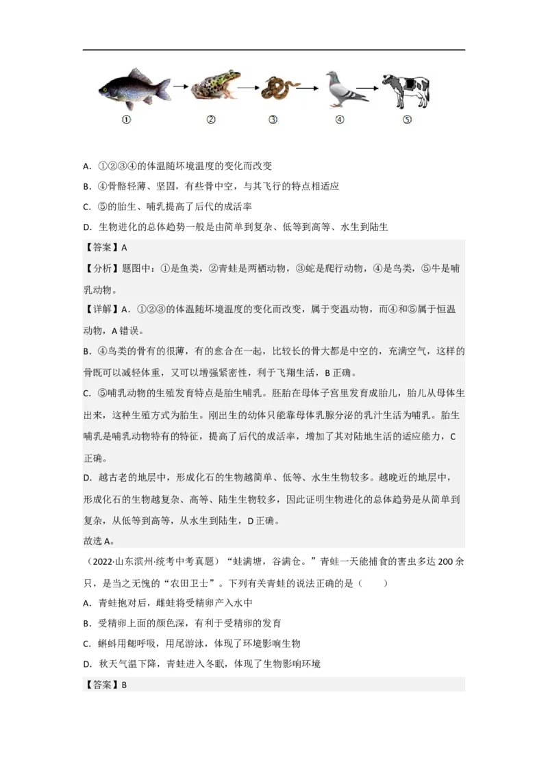 专题12动物的主要类群-备战2023年中考生物核心考点梳理与必背_6生物中考复习_2023年中考复习资料_专项复习_备战2023年中考生物核心考点梳理与必背
