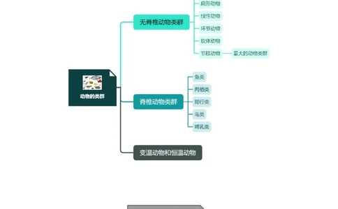 专题12动物的主要类群-备战2023年中考生物核心考点梳理与必背_6生物中考复习_2023年中考复习资料_专项复习_备战2023年中考生物核心考点梳理与必背