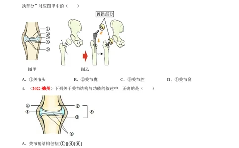 专题09&nbsp;动物的运动和行为（原卷版）_6生物中考复习_2024年中考复习资料_专项复习资料_完三年（2021-2023）中考生物真题分项汇编（全国通用）