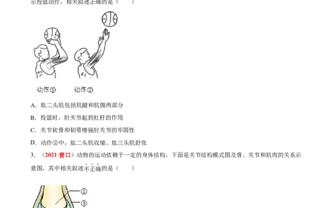 专题09&nbsp;动物的运动和行为（原卷版）_6生物中考复习_2024年中考复习资料_专项复习资料_完三年（2021-2023）中考生物真题分项汇编（全国通用）