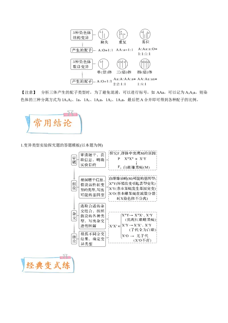 考向14基因突变及其他变异-备战2023年高考生物一轮复习考点微专题（全国通用）（解析版）_通用版（老高考）复习资料_2023年复习资料_一轮复习