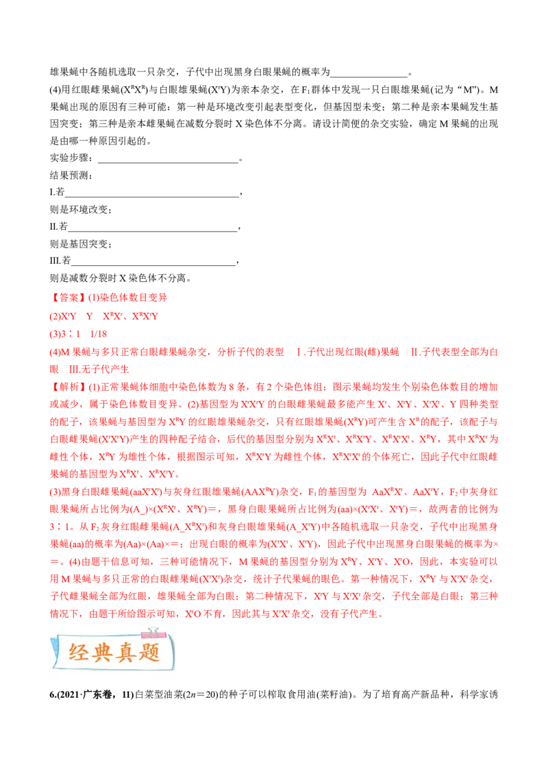 考向14基因突变及其他变异-备战2023年高考生物一轮复习考点微专题（全国通用）（解析版）_通用版（老高考）复习资料_2023年复习资料_一轮复习