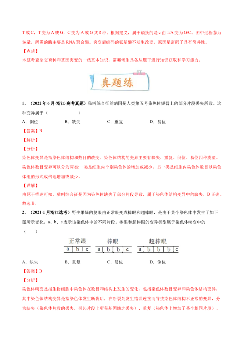 考向14基因突变及其他变异-备战2023年高考生物一轮复习考点微专题（全国通用）（解析版）_通用版（老高考）复习资料_2023年复习资料_一轮复习