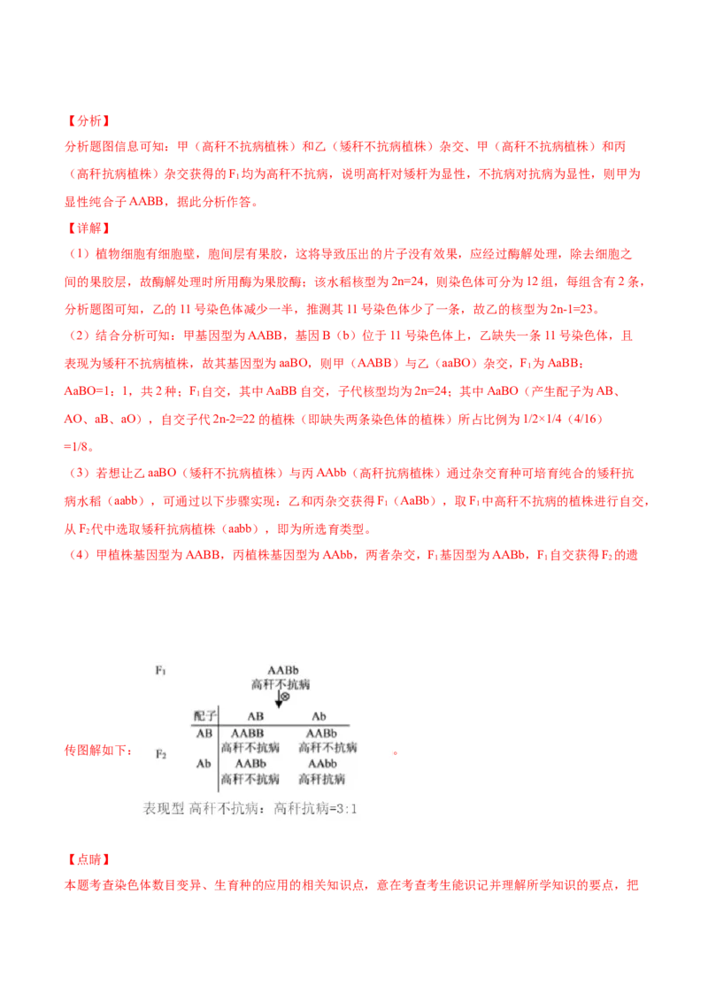 考向14基因突变及其他变异-备战2023年高考生物一轮复习考点微专题（全国通用）（解析版）_通用版（老高考）复习资料_2023年复习资料_一轮复习