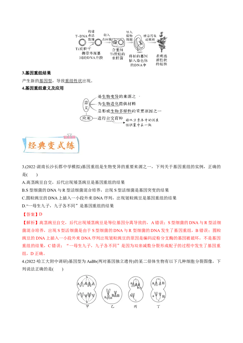 考向14基因突变及其他变异-备战2023年高考生物一轮复习考点微专题（全国通用）（解析版）_通用版（老高考）复习资料_2023年复习资料_一轮复习