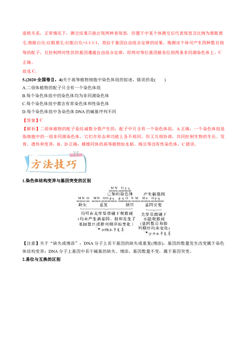 考向14基因突变及其他变异-备战2023年高考生物一轮复习考点微专题（全国通用）（解析版）_通用版（老高考）复习资料_2023年复习资料_一轮复习