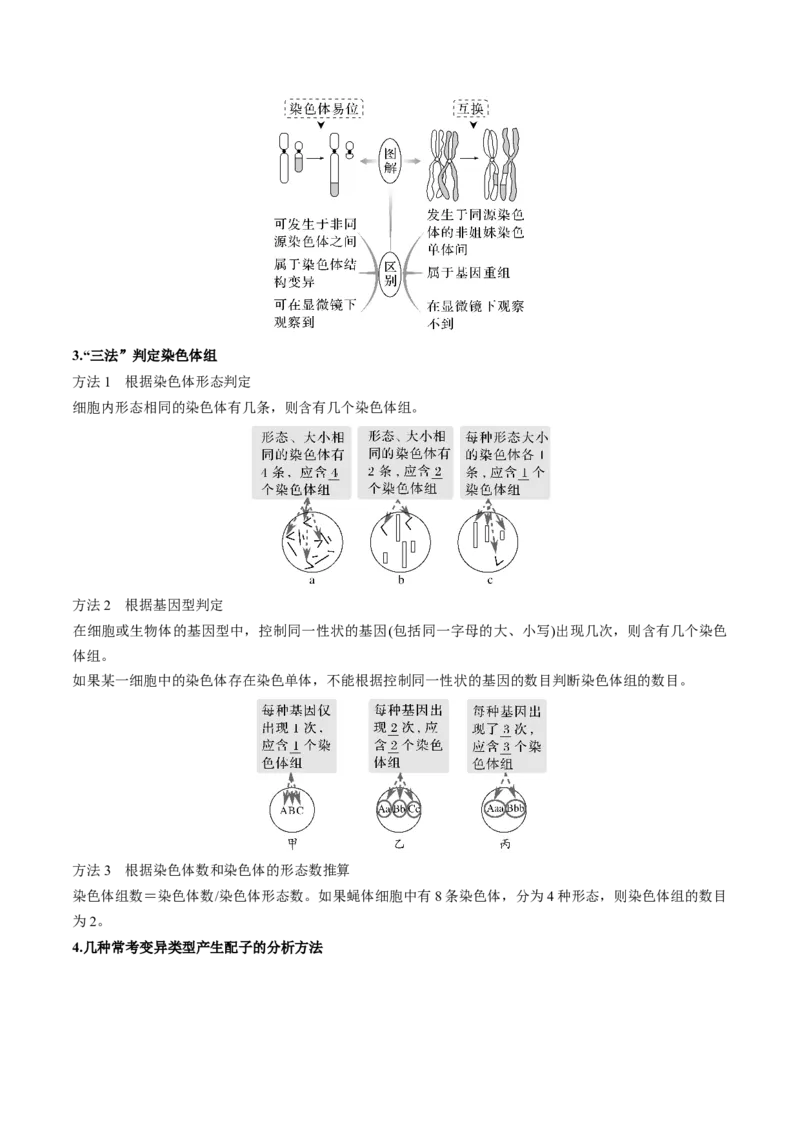 考向14基因突变及其他变异-备战2023年高考生物一轮复习考点微专题（全国通用）（解析版）_通用版（老高考）复习资料_2023年复习资料_一轮复习