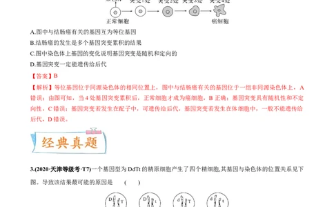 考向14基因突变及其他变异-备战2023年高考生物一轮复习考点微专题（全国通用）（解析版）_通用版（老高考）复习资料_2023年复习资料_一轮复习