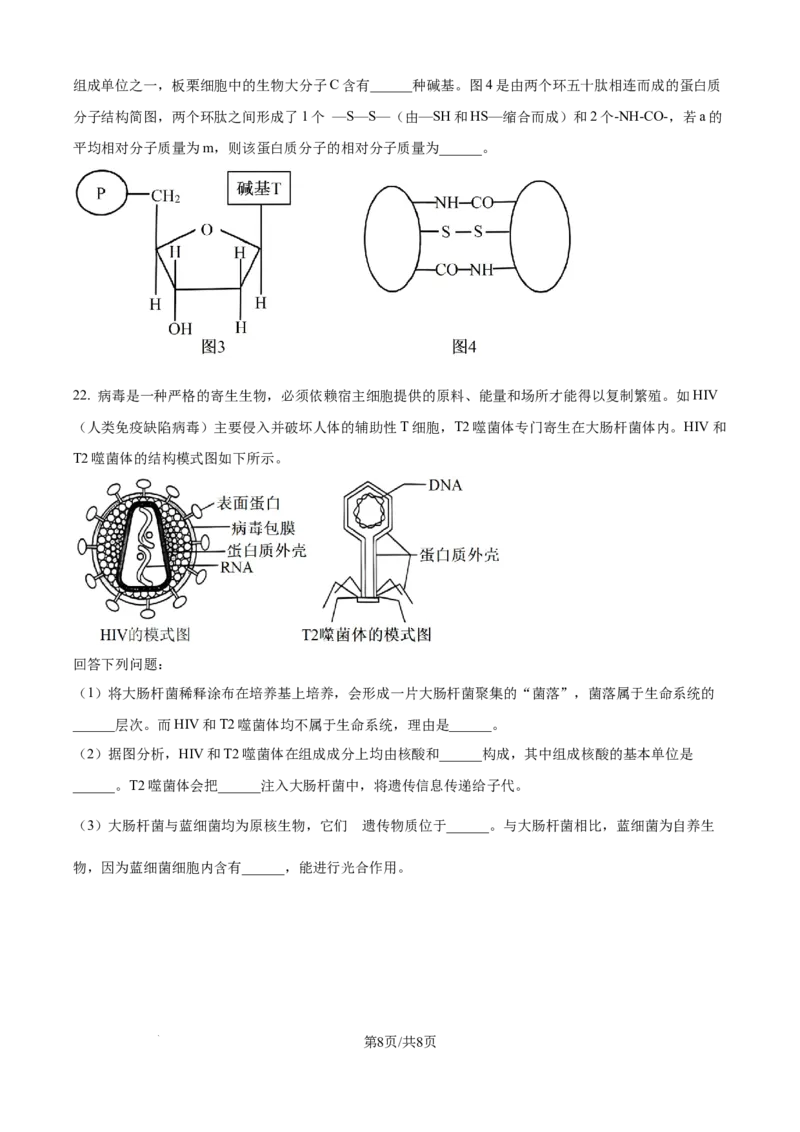 精品解析：湖北省荆州市沙市区湖北省沙市中学2025-2026学年高一上学期9月月考生物试题（原卷版）_2025年10月高一试卷_251003湖北省荆州市沙市中学2025-2026学年高一上学期9月月考（全）
