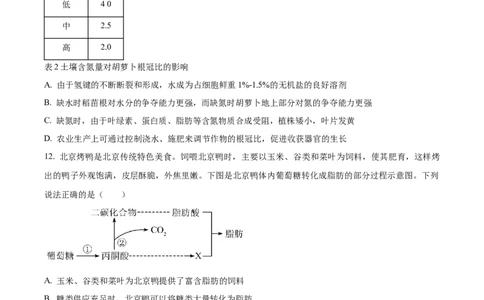 精品解析：湖北省荆州市沙市区湖北省沙市中学2025-2026学年高一上学期9月月考生物试题（原卷版）_2025年10月高一试卷_251003湖北省荆州市沙市中学2025-2026学年高一上学期9月月考（全）