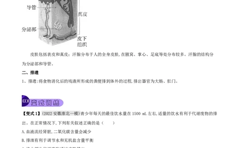 专题14人体内废物的排出（原卷版）_6生物中考复习_2023年中考复习资料_专项复习_2023年中考生物总复习真题探究与变式训练（全国通用）