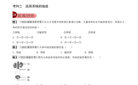专题14人体内废物的排出（原卷版）_6生物中考复习_2023年中考复习资料_专项复习_2023年中考生物总复习真题探究与变式训练（全国通用）