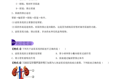 专题14人体内废物的排出（原卷版）_6生物中考复习_2023年中考复习资料_专项复习_2023年中考生物总复习真题探究与变式训练（全国通用）