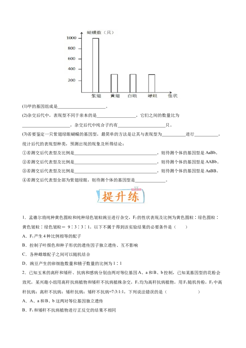 考向10基因的自由组合定律-备战2023年高考生物一轮复习考点微专题（全国通用）（原卷版）_通用版（老高考）复习资料_2023年复习资料_一轮复习