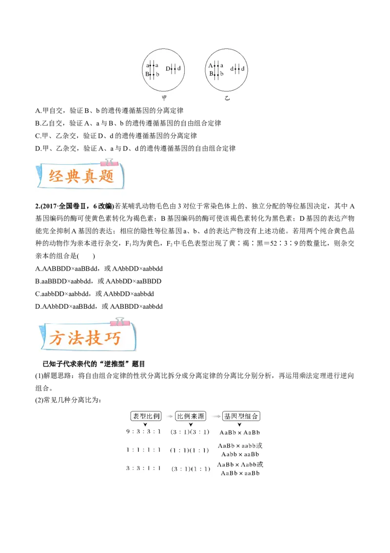 考向10基因的自由组合定律-备战2023年高考生物一轮复习考点微专题（全国通用）（原卷版）_通用版（老高考）复习资料_2023年复习资料_一轮复习