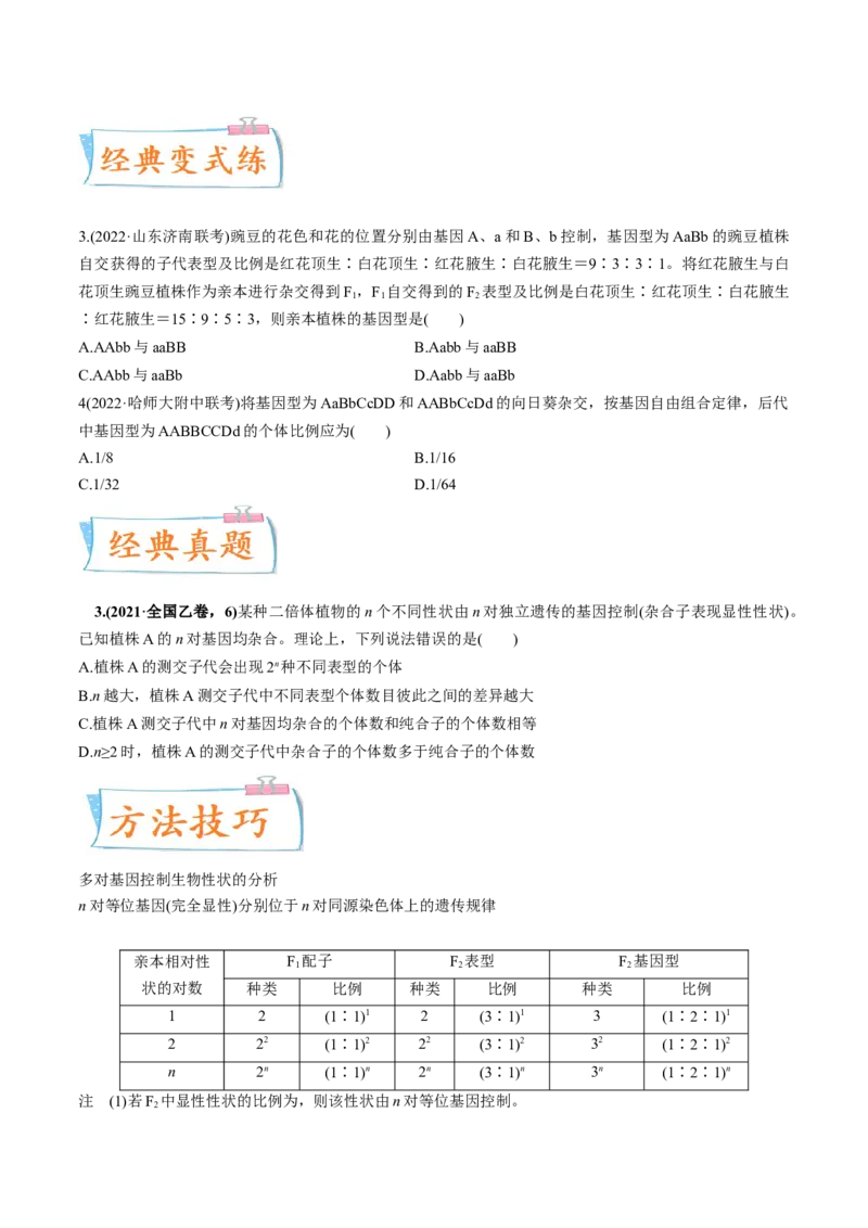 考向10基因的自由组合定律-备战2023年高考生物一轮复习考点微专题（全国通用）（原卷版）_通用版（老高考）复习资料_2023年复习资料_一轮复习
