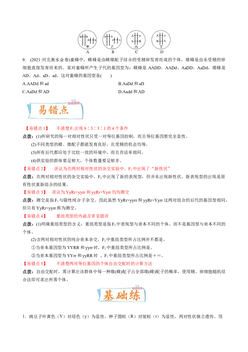 考向10基因的自由组合定律-备战2023年高考生物一轮复习考点微专题（全国通用）（原卷版）_通用版（老高考）复习资料_2023年复习资料_一轮复习
