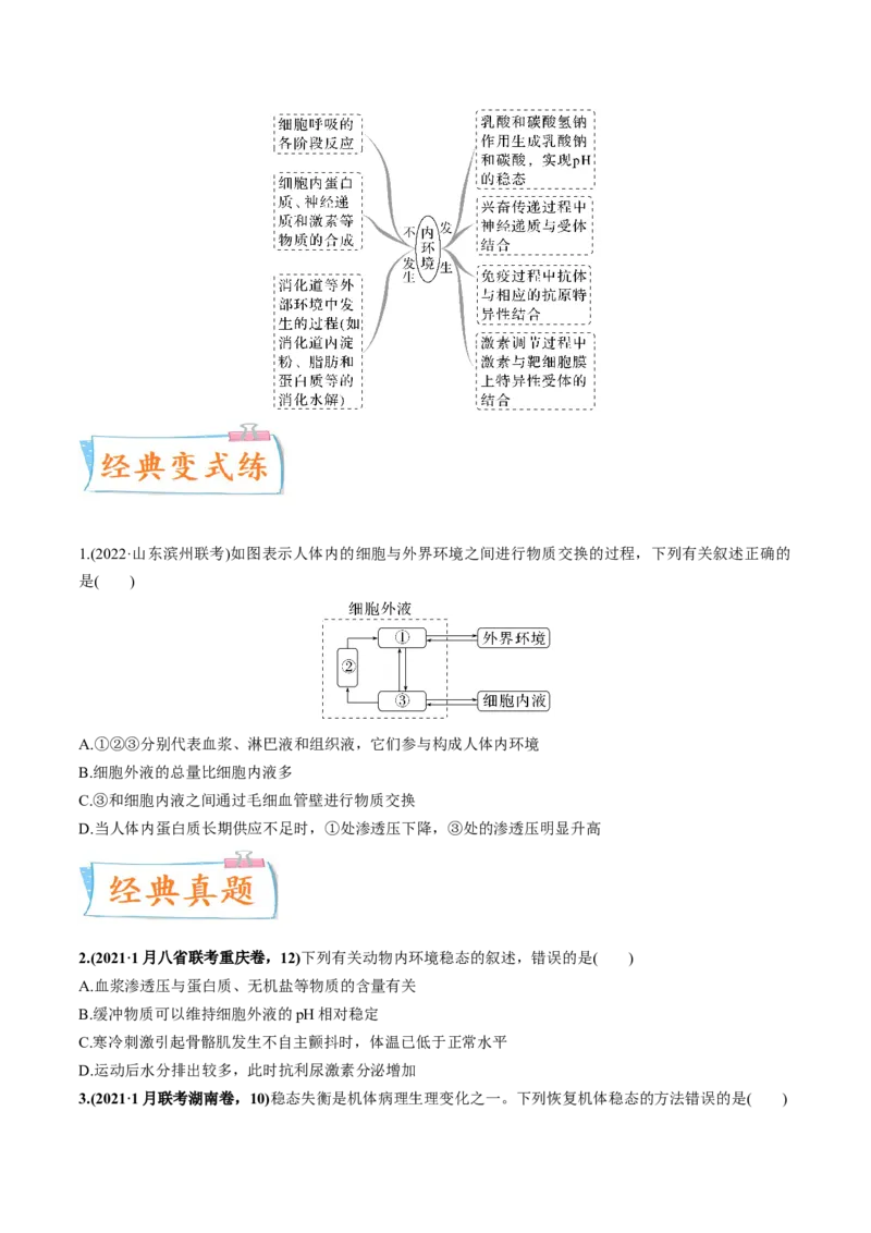 考向16人体内环境稳态及实例-备战2023年高考生物一轮复习考点微专题（全国通用）（原卷版）_通用版（老高考）复习资料_2023年复习资料_一轮复习