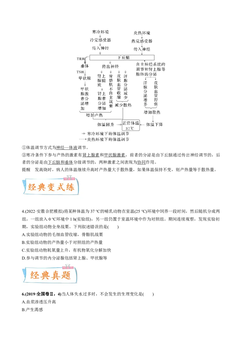 考向16人体内环境稳态及实例-备战2023年高考生物一轮复习考点微专题（全国通用）（原卷版）_通用版（老高考）复习资料_2023年复习资料_一轮复习