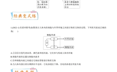 考向16人体内环境稳态及实例-备战2023年高考生物一轮复习考点微专题（全国通用）（原卷版）_通用版（老高考）复习资料_2023年复习资料_一轮复习