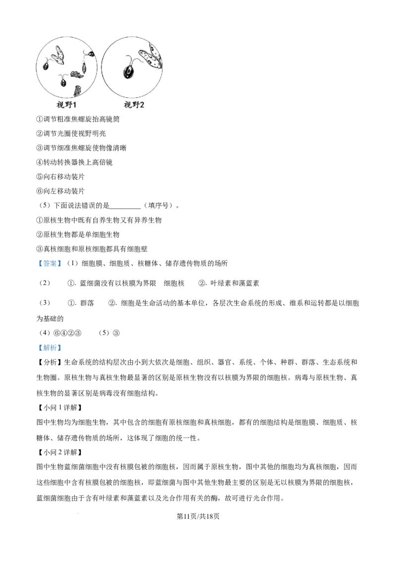 精品解析：河南省南阳市六校2025-2026学年高一上学期10月月考生物试题（解析版）_2025年10月高一试卷_251016河南省南阳市六校2025-2026学年高一上学期第一次联考（全）
