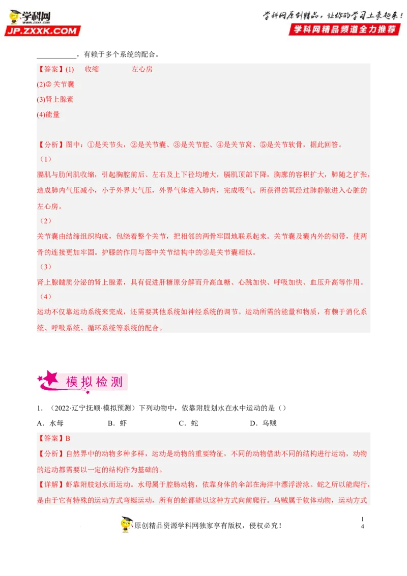 专题13动物的运动和行为（习题帮）（解析版）_6生物中考复习_2023年中考复习资料_一轮复习_备战2023年中考生物一轮复习考点帮（全国通用）288506454