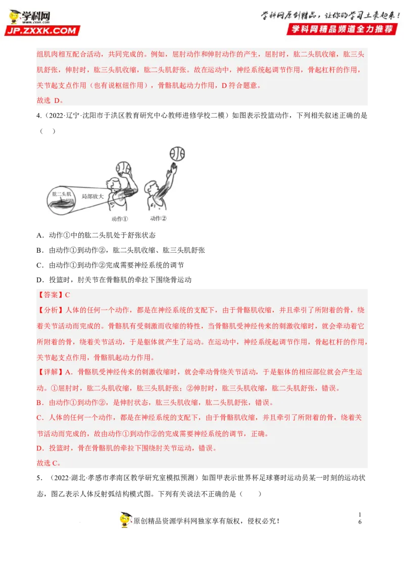 专题13动物的运动和行为（习题帮）（解析版）_6生物中考复习_2023年中考复习资料_一轮复习_备战2023年中考生物一轮复习考点帮（全国通用）288506454