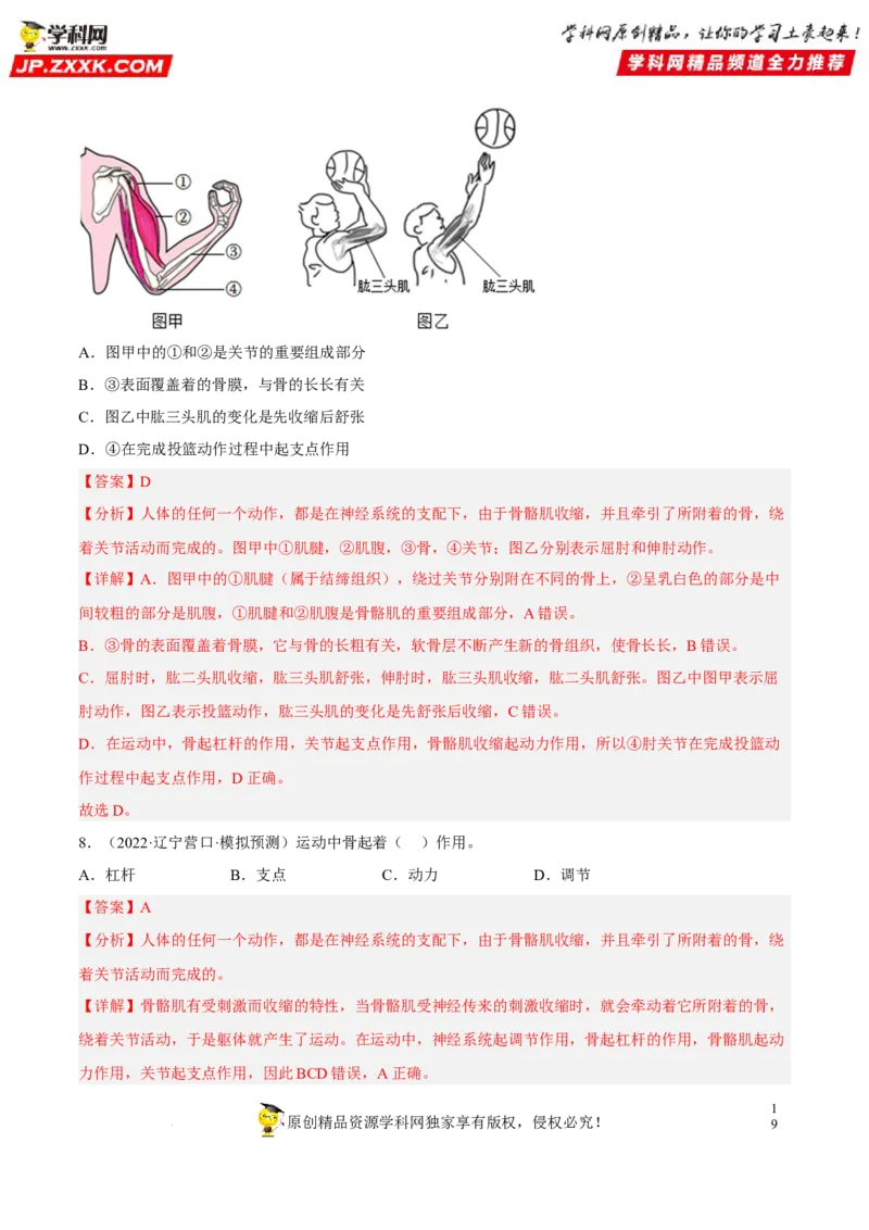专题13动物的运动和行为（习题帮）（解析版）_6生物中考复习_2023年中考复习资料_一轮复习_备战2023年中考生物一轮复习考点帮（全国通用）288506454