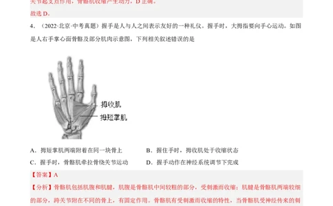 专题13动物的运动和行为（习题帮）（解析版）_6生物中考复习_2023年中考复习资料_一轮复习_备战2023年中考生物一轮复习考点帮（全国通用）288506454