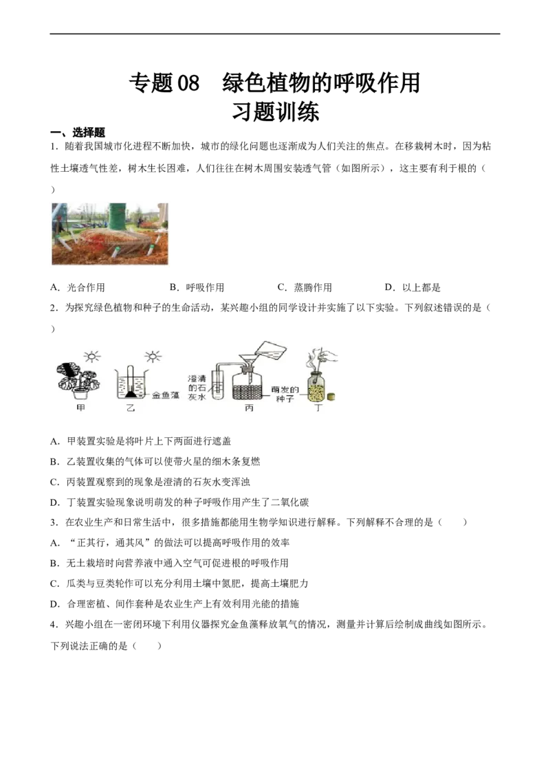 专题08绿色植物的呼吸作用（习题精练）（全国通用）（原卷版）_6生物中考复习_2024年中考复习资料_一轮复习资料_省心备考2024年中考生物一轮复习精讲精练（全国通用）