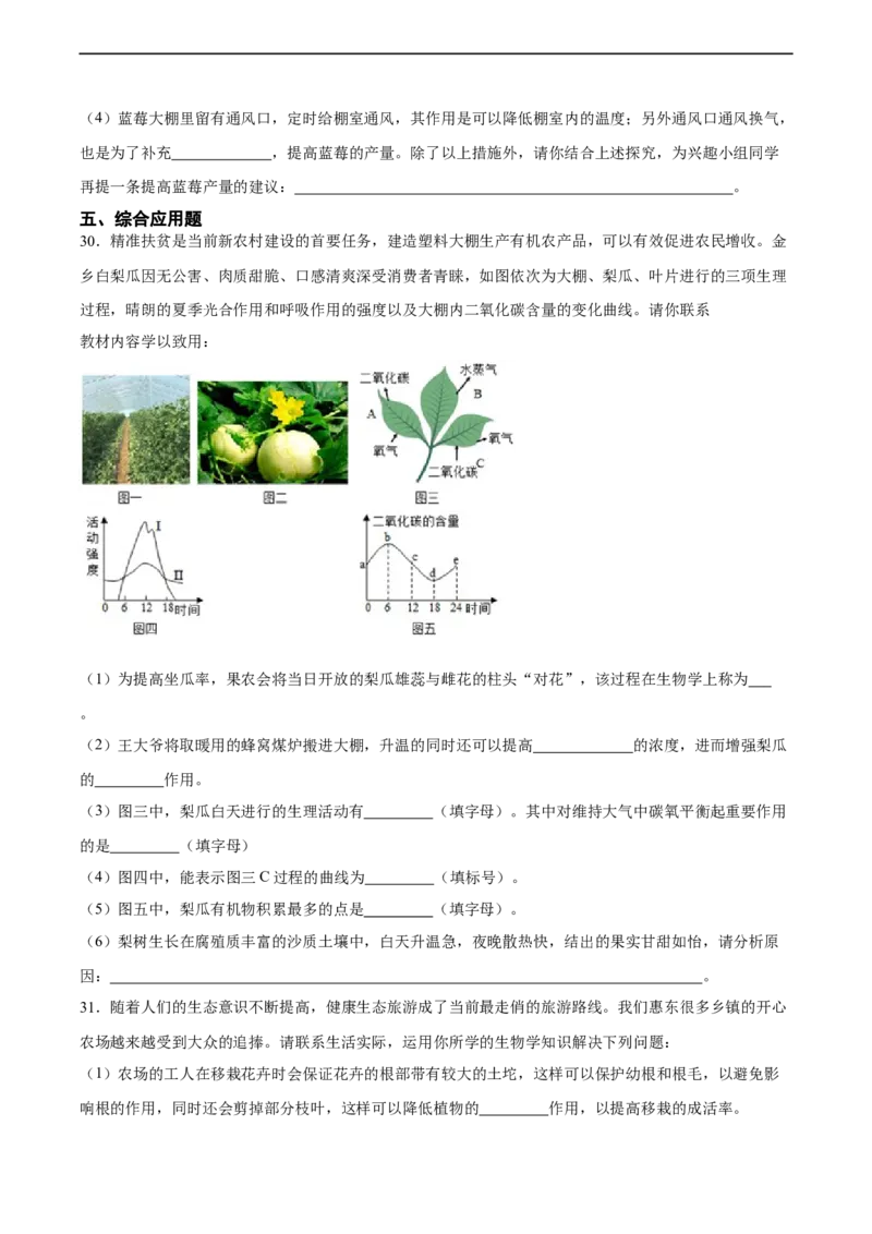 专题08绿色植物的呼吸作用（习题精练）（全国通用）（原卷版）_6生物中考复习_2024年中考复习资料_一轮复习资料_省心备考2024年中考生物一轮复习精讲精练（全国通用）