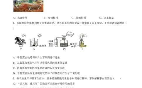 专题08绿色植物的呼吸作用（习题精练）（全国通用）（原卷版）_6生物中考复习_2024年中考复习资料_一轮复习资料_省心备考2024年中考生物一轮复习精讲精练（全国通用）