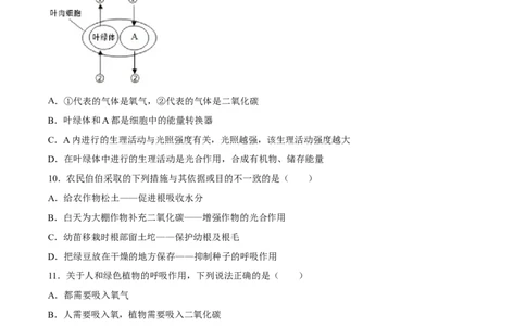 专题08绿色植物的呼吸作用（习题精练）（全国通用）（原卷版）_6生物中考复习_2024年中考复习资料_一轮复习资料_省心备考2024年中考生物一轮复习精讲精练（全国通用）