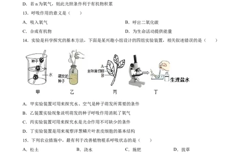 专题08绿色植物的呼吸作用（习题精练）（全国通用）（原卷版）_6生物中考复习_2024年中考复习资料_一轮复习资料_省心备考2024年中考生物一轮复习精讲精练（全国通用）