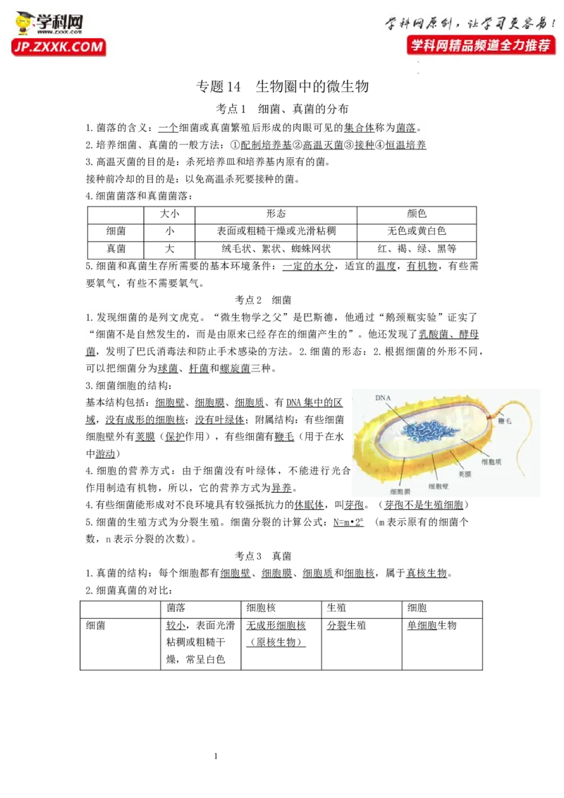专题14生物圈中的微生物（知识帮）-备战2023年中考生物一轮复习考点帮（全国通用）_6生物中考复习_2023年中考复习资料_一轮复习