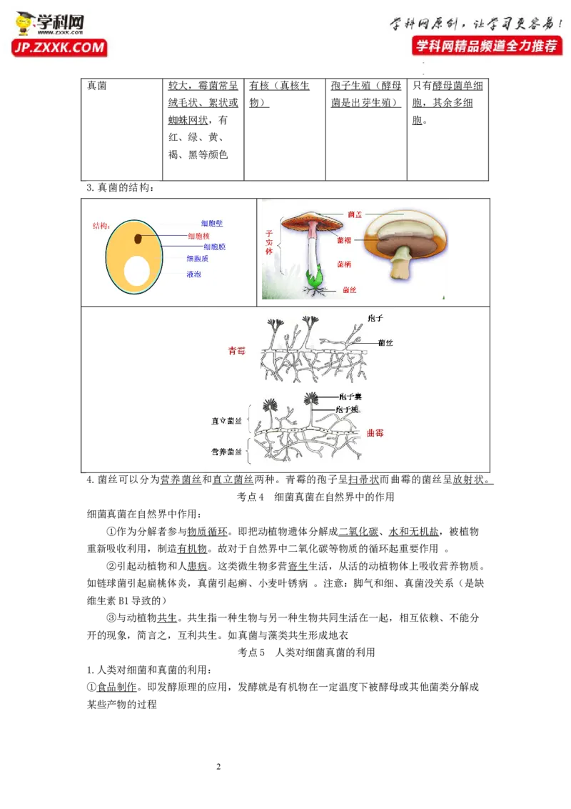 专题14生物圈中的微生物（知识帮）-备战2023年中考生物一轮复习考点帮（全国通用）_6生物中考复习_2023年中考复习资料_一轮复习