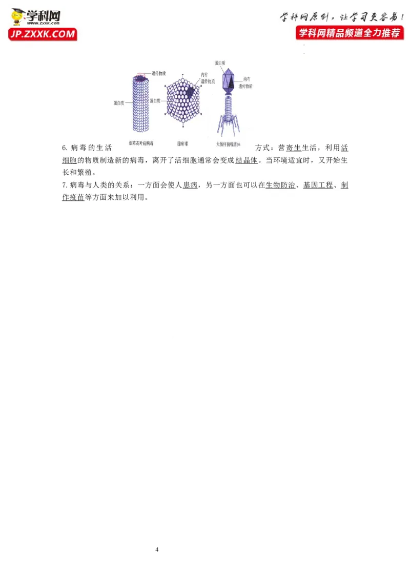 专题14生物圈中的微生物（知识帮）-备战2023年中考生物一轮复习考点帮（全国通用）_6生物中考复习_2023年中考复习资料_一轮复习
