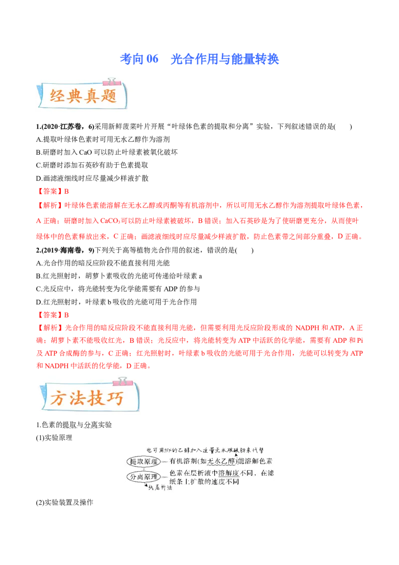 考向06光合作用与能量转换-备战2023年高考生物一轮复习考点微专题（全国通用）（解析版）_通用版（老高考）复习资料_2023年复习资料_一轮复习
