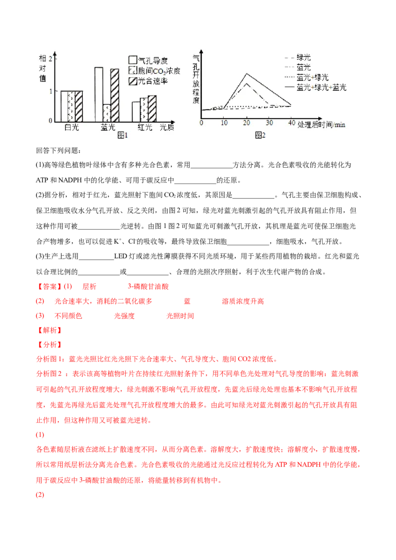 考向06光合作用与能量转换-备战2023年高考生物一轮复习考点微专题（全国通用）（解析版）_通用版（老高考）复习资料_2023年复习资料_一轮复习