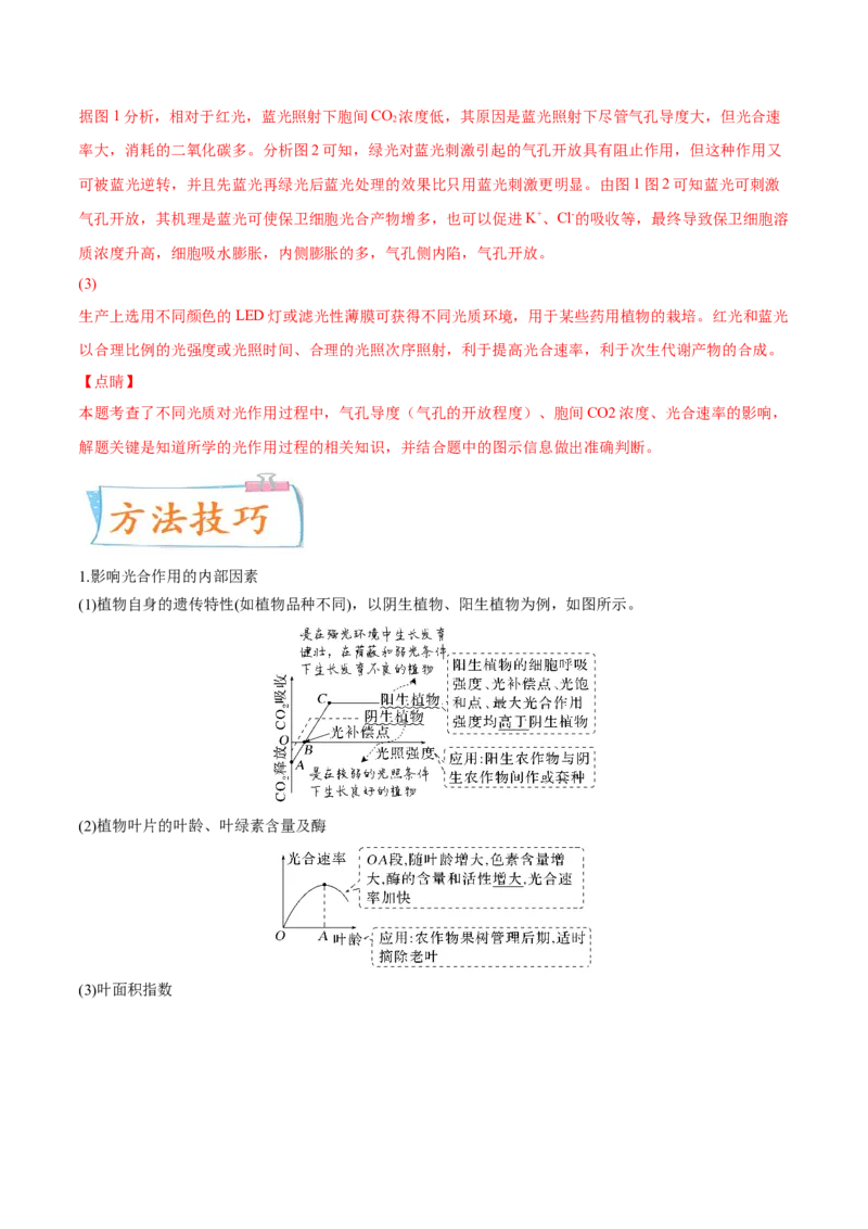 考向06光合作用与能量转换-备战2023年高考生物一轮复习考点微专题（全国通用）（解析版）_通用版（老高考）复习资料_2023年复习资料_一轮复习