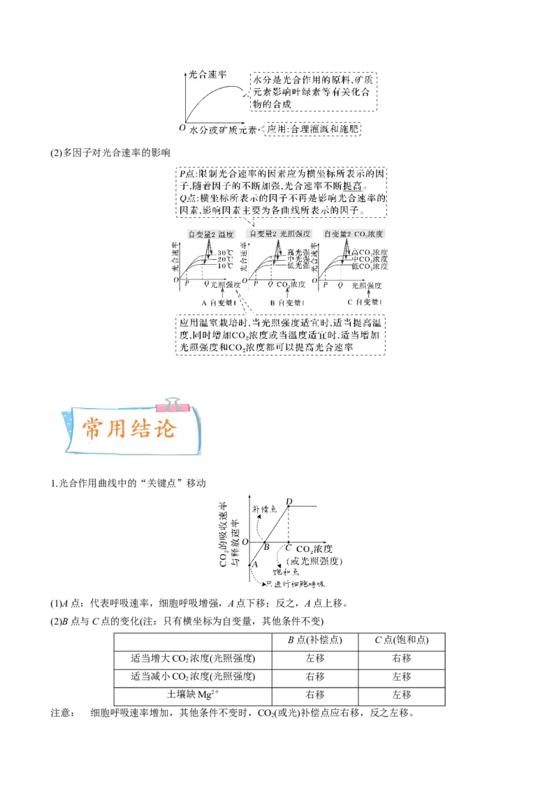 考向06光合作用与能量转换-备战2023年高考生物一轮复习考点微专题（全国通用）（解析版）_通用版（老高考）复习资料_2023年复习资料_一轮复习