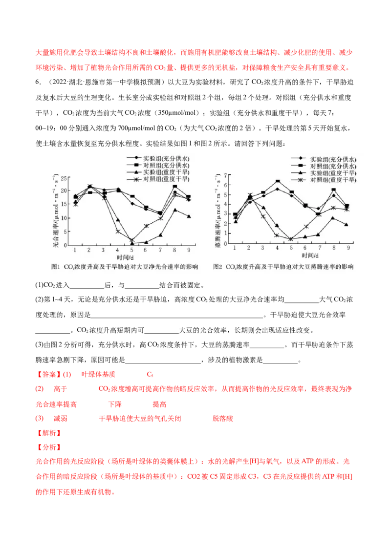考向06光合作用与能量转换-备战2023年高考生物一轮复习考点微专题（全国通用）（解析版）_通用版（老高考）复习资料_2023年复习资料_一轮复习