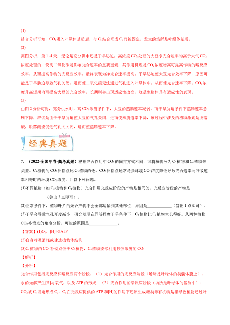 考向06光合作用与能量转换-备战2023年高考生物一轮复习考点微专题（全国通用）（解析版）_通用版（老高考）复习资料_2023年复习资料_一轮复习