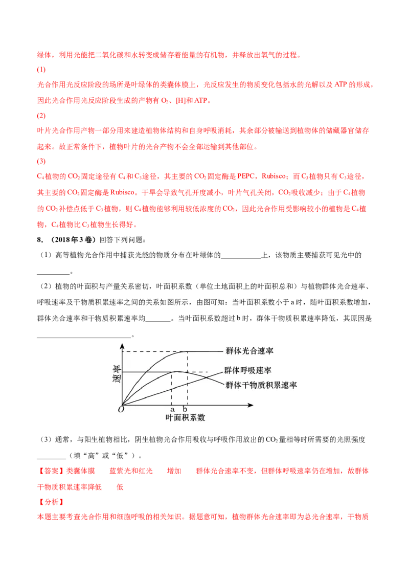 考向06光合作用与能量转换-备战2023年高考生物一轮复习考点微专题（全国通用）（解析版）_通用版（老高考）复习资料_2023年复习资料_一轮复习