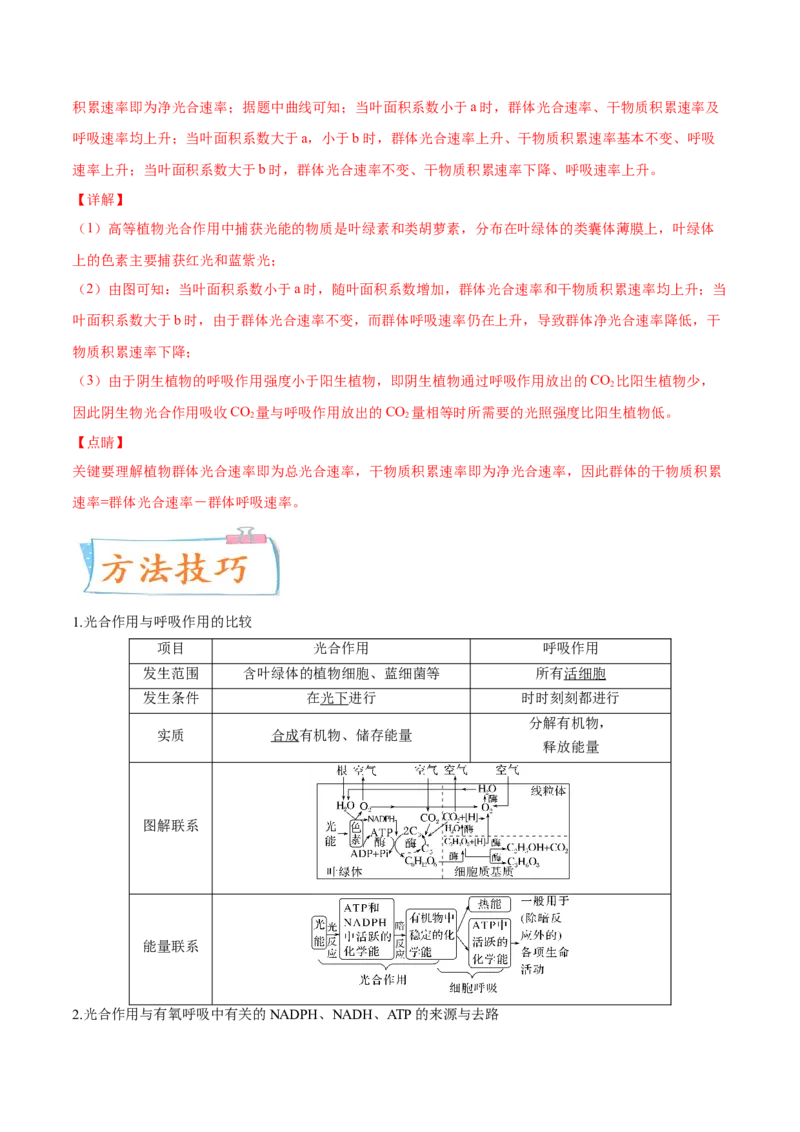 考向06光合作用与能量转换-备战2023年高考生物一轮复习考点微专题（全国通用）（解析版）_通用版（老高考）复习资料_2023年复习资料_一轮复习